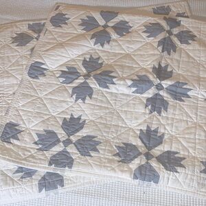Set of two Bee & Willow pillow covers 27” x  22”